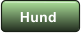 Hund