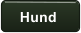 Hund