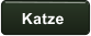 Katze